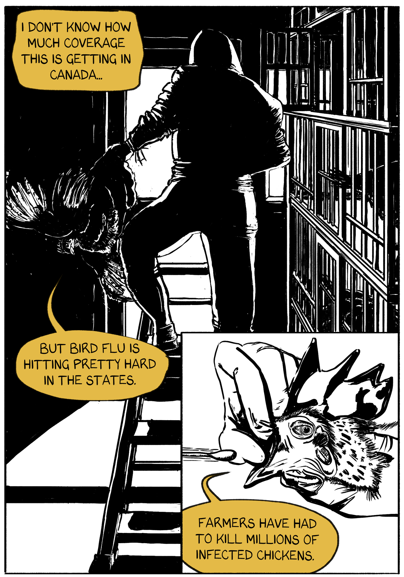 The same person carries the chicken by its feet down the a ladder by the cages. the chicken continues talking: "But bird flu is hitting pretty hard in the states." In a small panel in the corner, the chicken's mouth is held open by human hands, while a swab is inserted in its mouth. Still talking, the chicken says "farmers have had to kill millions of infected chickens." 