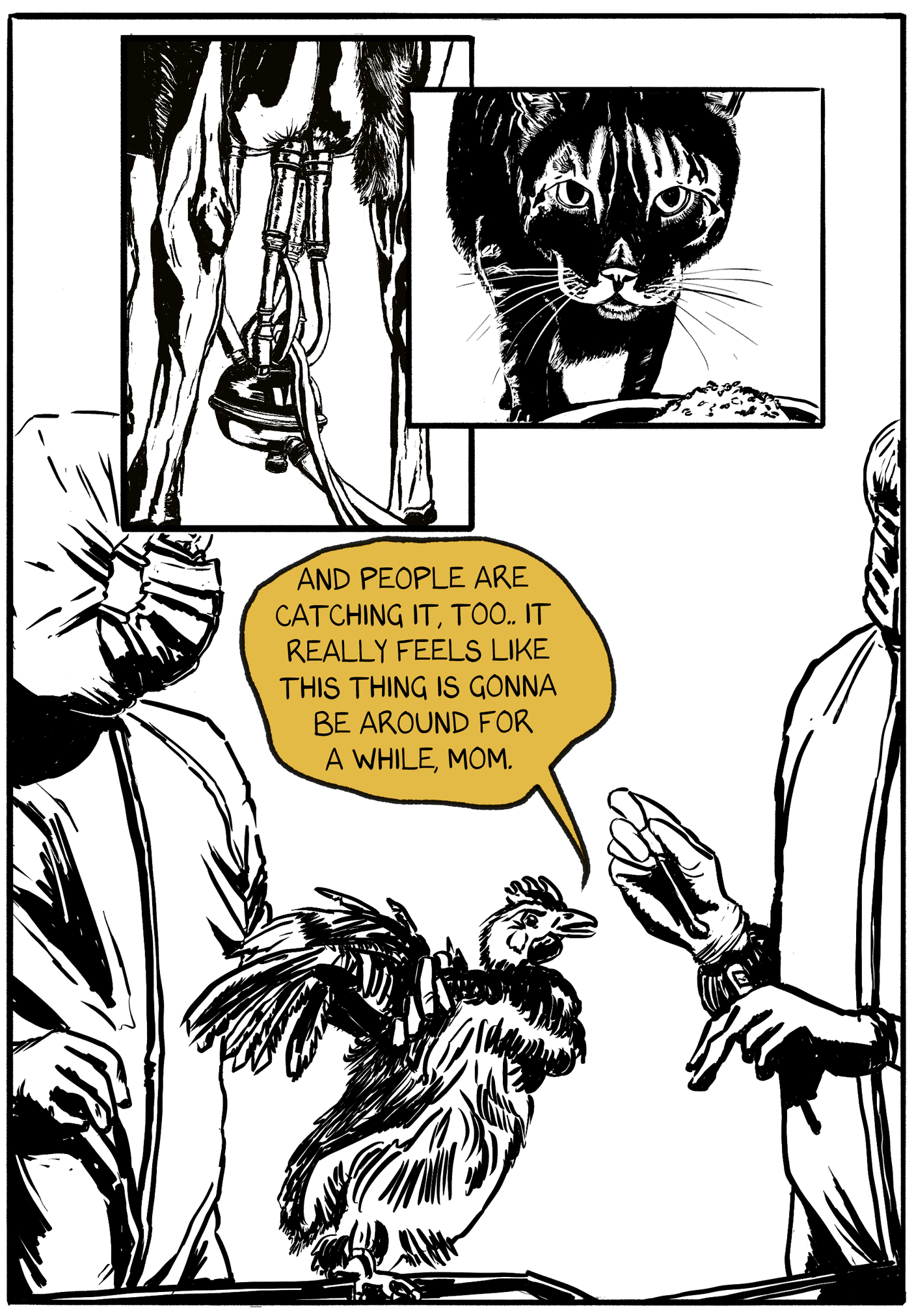 two panels at the top of the image show a cow being milked and a cat getting ready to eat a meal in a bowl. below those panels, we see two people in full PPE. One person is holding the chicken from before by the wings. The other person is putting the swab, and presumably the sample, into a tube. The chicken says "And people are catchign it, too. It really feels like this thing is gonna be around for a while, mom." 